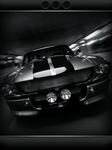 pic for American Muscle